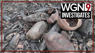 'Nutty' situation in Lincoln Park | WGN Investigates