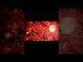 #hellsparadise In The Dark Collab Part #anime #amv #animeedit #edit #inthedark