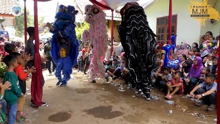 Lanang Cobra - Burok Mjm Live Cibulan 17-10-2020