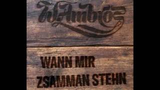 Wolfgang Ambros - Wann mir zsamman stehn