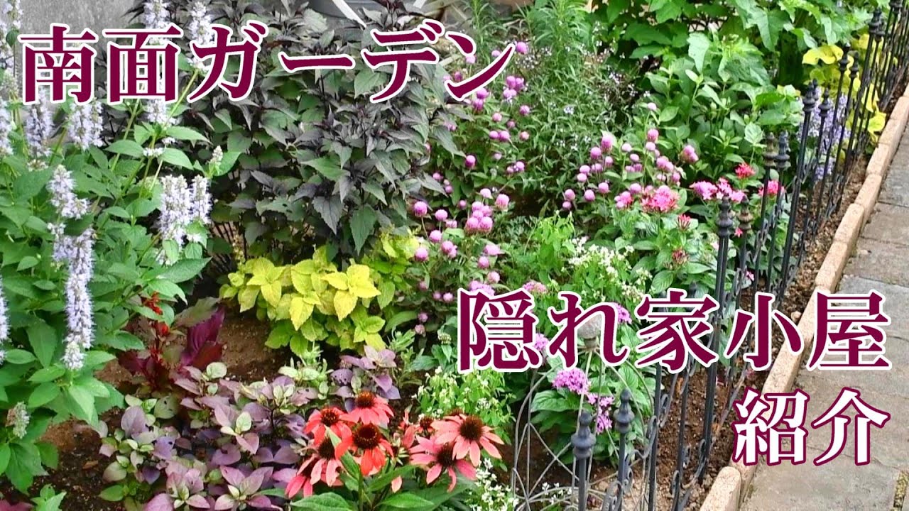 夏庭 隠れ家 戦う夏の庭と作業小屋の使い方 真夏のガーデニング 観葉植物 Youtube