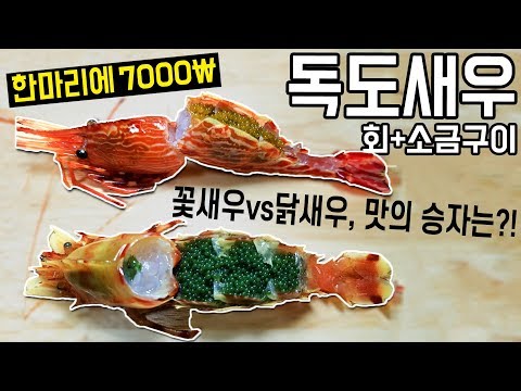 독도새우 배에서 방금 가져온  꽃새우,닭새우 소쿠리채 먹방 리뷰~! Morotoge shrimp, Spiny lebbeid shrimp review