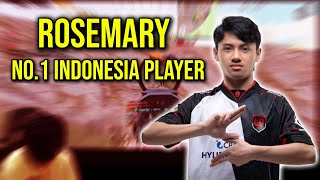 PUBG Mobile : Rosemary Gameplay FPP mode No.1 Indonesia Player MVP PMSL 2024