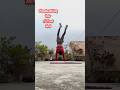 Handwalk to Front Roll #handwalking #handwalk #frontroll #calisthenicscommunity #calisthenics