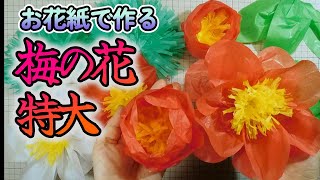 kimie gangi 1月の壁面飾り お花紙で作る「特大の梅の花」 #正月飾り  #お花紙クラフト #五色鶴 #bigflowers #簡単 #子ども #高齢者 #diycrafts #ふわふわ
