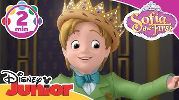 Sofia The First | King For A Day / Be Your Own King - Song | @disneykids