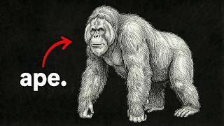 Prehistoric Asia Was Pure Nightmare Fuel