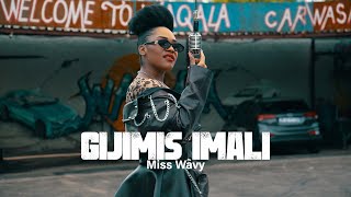 Miss Wavy - Gijimis Imali | Visualizer (Prod by Vusinator)