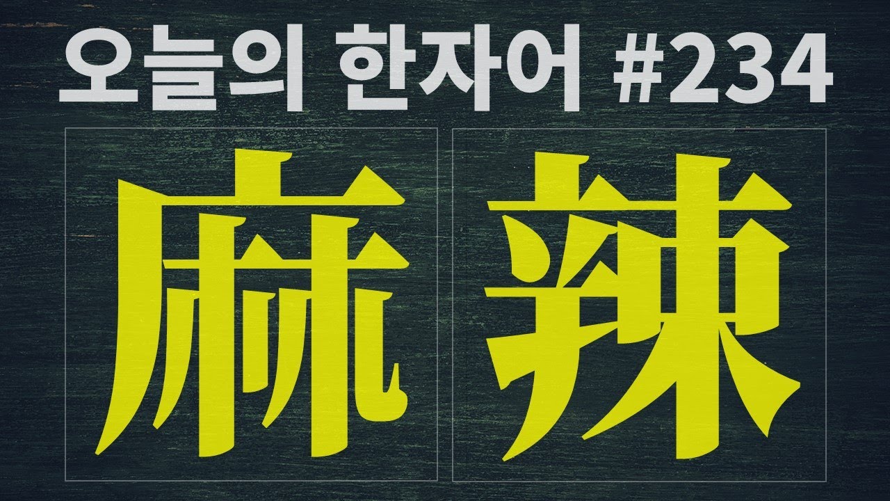 麻辣 : 오늘의 한자어 #234