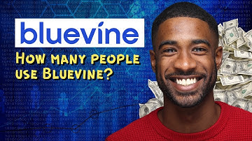 How many people use Bluevine