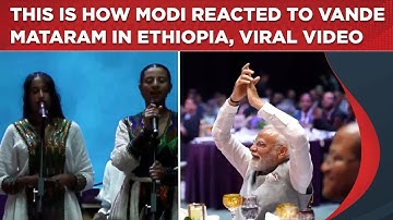 Watch Mesmerised Modi