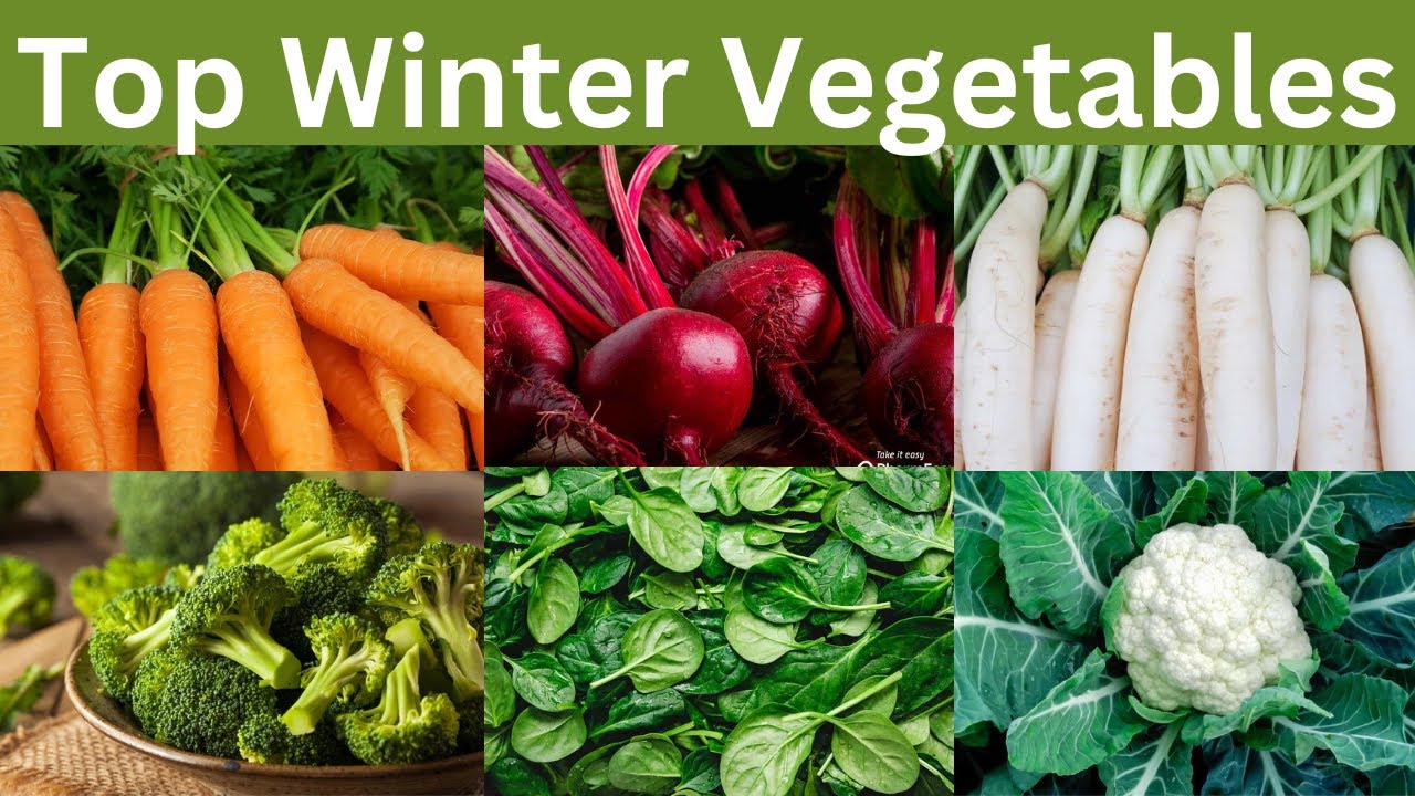 Top 11 Vegetables To Grow Over Winter Vegetables To grow Outdoors In