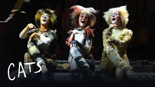 Cats Launches To Adelaide! - Australia | Cats the Musical