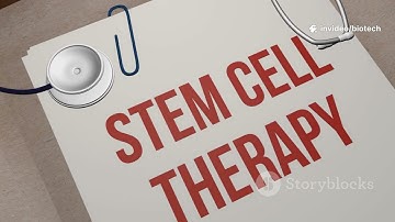 What Are Stem Cells? | Stem Cell Applications in Medicine & Research