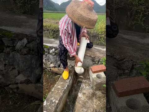 Shorts Agriculture Farming2024 Satisfying Machine Shot EliteShortsUnleashed 5074