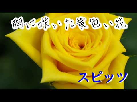胸に咲いた黄色い花／スピッツ cover
