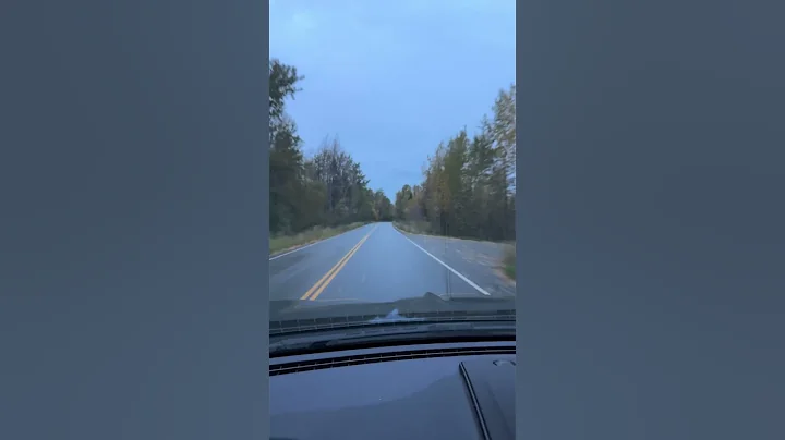 Fall Road Trip in Alaska🍂Golden Leaves, Scenic Drives & Cozy Vibes 🍂🚗#RoadTrip #AlaskaLife #Shorts