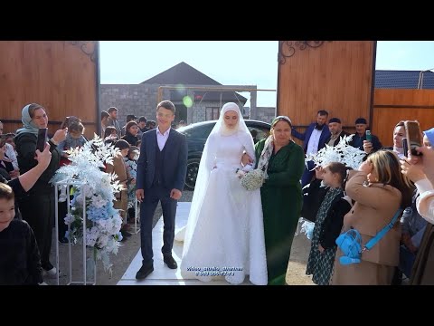 Очень Красивая Чеченская Свадьба 2023 в Грозном. Видео Студия Шархан