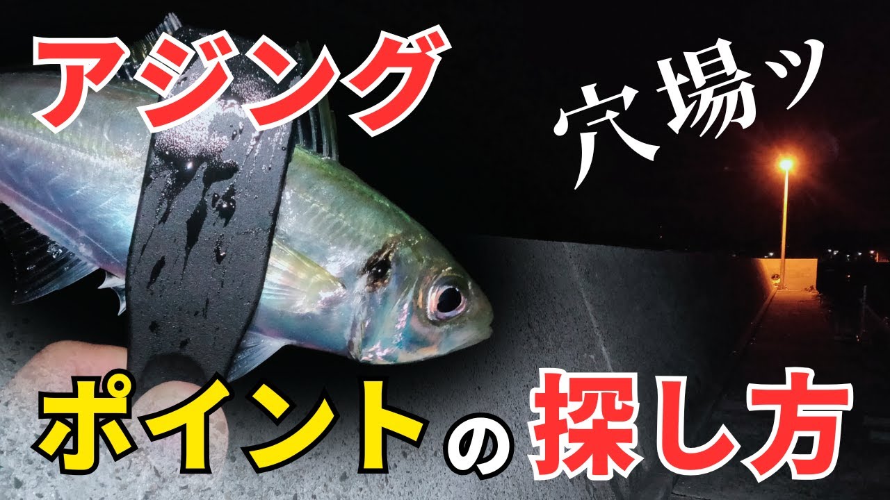 【田井新港】知らなきゃ損！アジングポイントの具体的な探し方