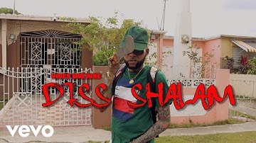 Vibes Machine - Diss Shalam (Official Video)