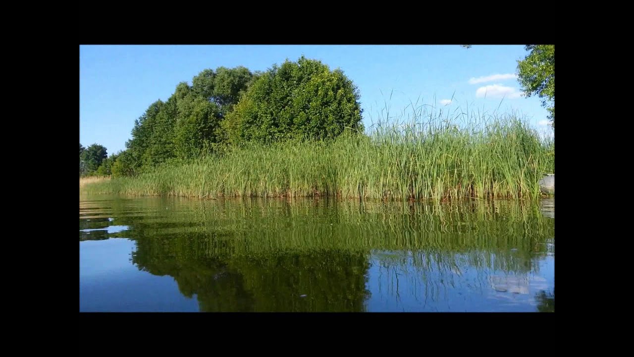 Озеро жировское Озеро жировское