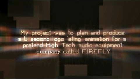 Work Experience Project 2010