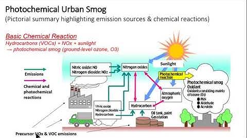 Ground-level Ozone - Course Lecture by Dr. Frank Freedman
