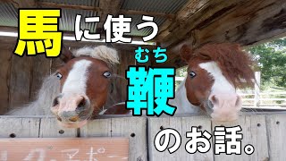 馬って鞭(むち）をどう思ってるの？ナッキーの馬の教室～その５～