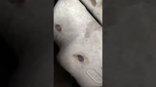 Leak Down Teste Cyl 2