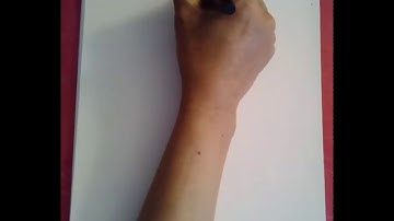 Stewart 5P6 Modeling Harmonic Motion