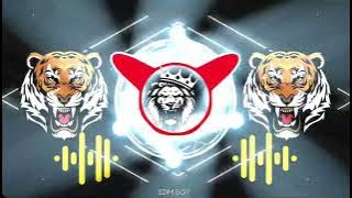 Unreleased Sairam High Gain Sound Check | Dj Mangesh And Dj Hrush | EDM BOY