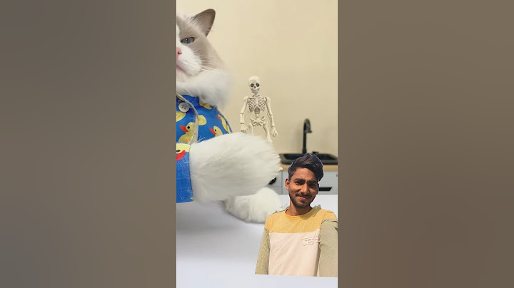 Puff's guide on handling weekend calls from the boss!#animals #shorts #new