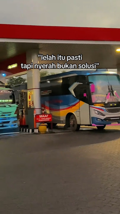 Lumba-Lumba #automobile #modified #shortsfeed #pejuangrupiah #storywa #wingbox #shorts #sugengrahayu