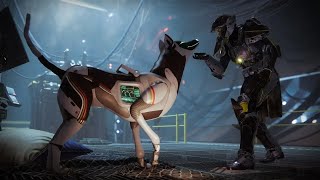 【天命2 Destiny2】《進入光能之中》 大天使在哪裡(高塔)