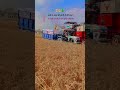#tractor_lover #motivaction#viralshort#trandingshort#farming#tannu_rajput_315#viral