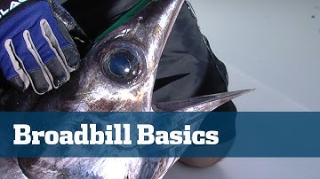 Daytime Swordfish Tips - Florida Sport Fishing TV - Tackle, Baits, Leaders, Techniques