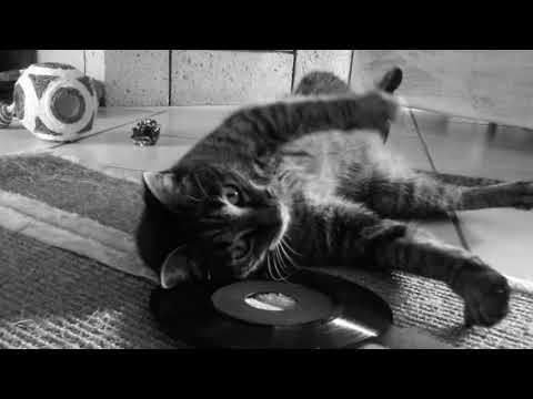 Pryapisme - Trailer Hyperblast Supercollider Double LP Edition