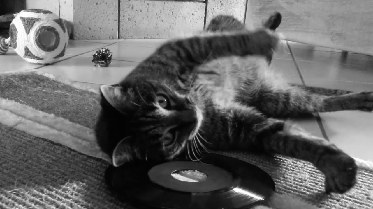 Pryapisme - Trailer Hyperblast Supercollider Double LP Edition