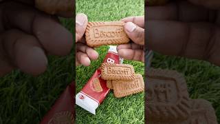 Lotus Biscoff Biscuit ASMR 😍 | Super Crunchy Biscuit #biscuit #testy #shortvideo #vairal #trending