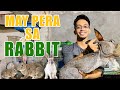 Amazing rabbit farming  may pera sa rabbit farming and raising a success story of zion rabbitry
