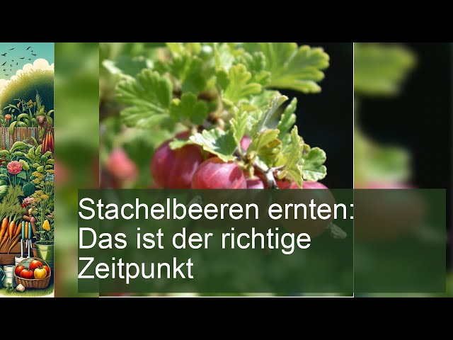 aloe grape vape Vabeen Flex Air Ultra - Aloe Grape main image 0