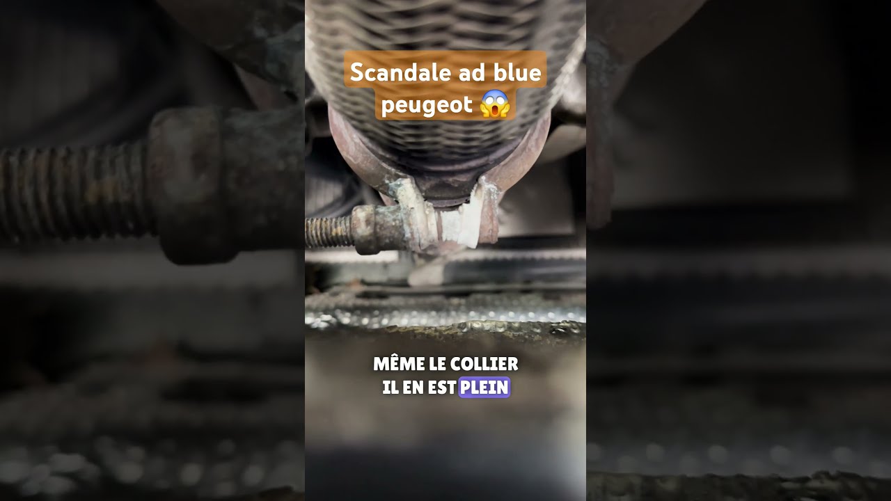 Scandale Ad Blue Peugeot On En Change A La Pelle Dis Nous Ton Avis Automobile Auto Diy