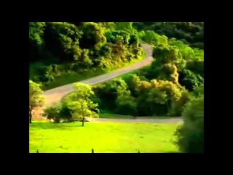 Scary Car Remix
