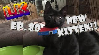 NEW KITTEN!/NEW HOUSE TOUR [#80] | LOWKEY VLOGS