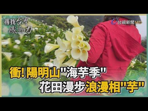 尋找台灣感動力-秘境花餐 清代墾地世代「香」傳
