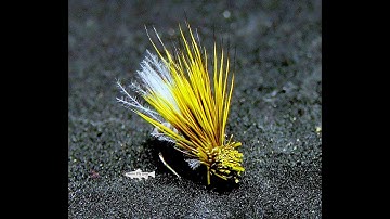 Moose Mane Caddis