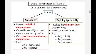 7.3 (e,f,g) Chromosomal mutation_chromosomal number alteration_aneuploidy