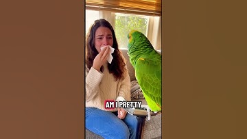 Parror telling Truth🤣#parrot #funny #shorts #ai
