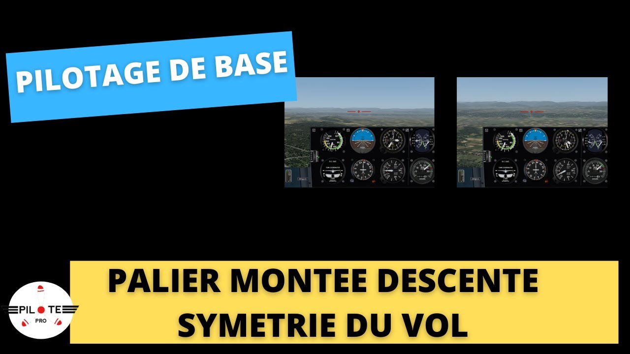 [Pilotage de Base #7] Palier montée et descente. Symétrie du vol