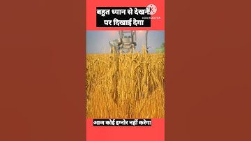 Jai Shree Ram #jaishreeram #sanatandharma #shortvideo